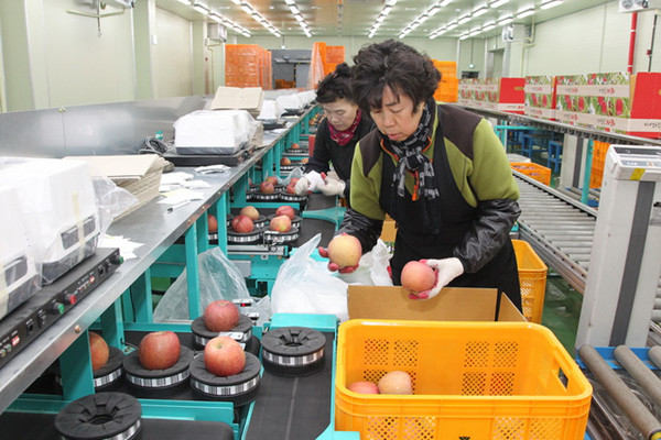 ▲ 예천군은 농산물유통센터를 건립, 농산물의 규모화, 규격화, 상품화로 급변하는 유통환경 변화에 적극 대처하고 있다.ⓒ예천군 제공