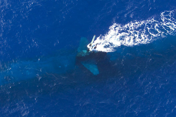 ▲ 하와이 인근해안에서 촬영한 LA급 공격용 핵잠수함의 모습. ⓒ위키피디아 공개사진