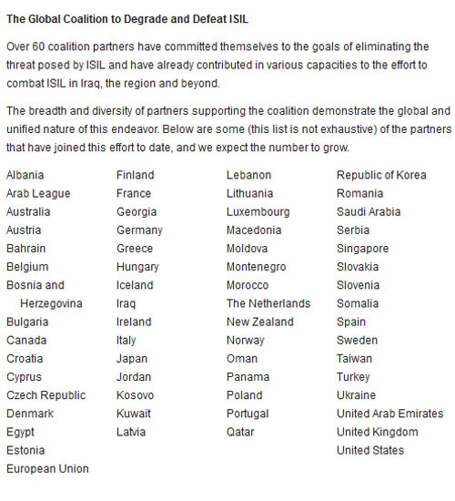 ▲ 존 앨런 특사 홈페이지에 나와 있는 국제동맹 참가국가들. 한국과 일본도 있다. ⓒ美국무부 대통령 특사 홈페이지 화면 캡쳐