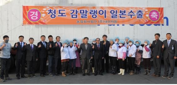 ▲ 청도군이 청도반시로 만든 감말랭이가 일본 수출길에 올랐다. ⓒ청도군 제공