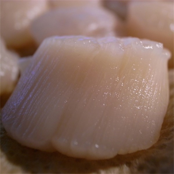 ▲ 먹기좋게 손질한 가리비살. 질 좋은 가리비살에는 세로줄이 선명하게 나타난다. ⓒ 이동송