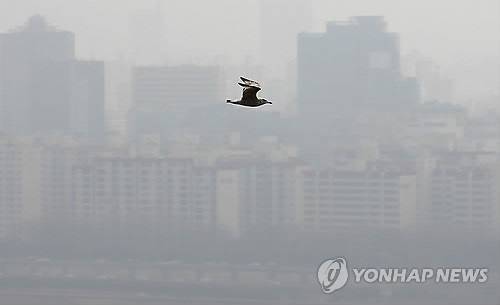 ▲ 황사가 심한 날 삼겹살 보다 물을 많이 마시고 해조류를 먹는게 좋다. ⓒ