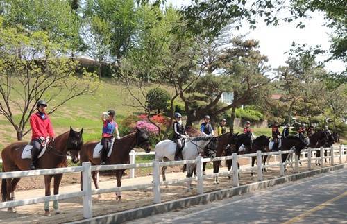 ▲ ⓒ한국마사회 제공