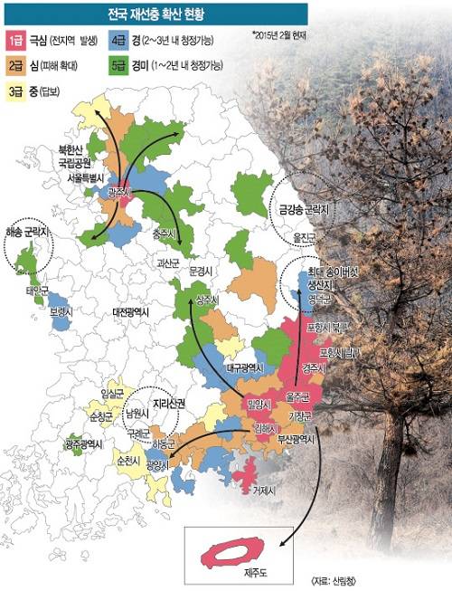 ▲ 재선충 확산 현황ⓒ자료=산림청