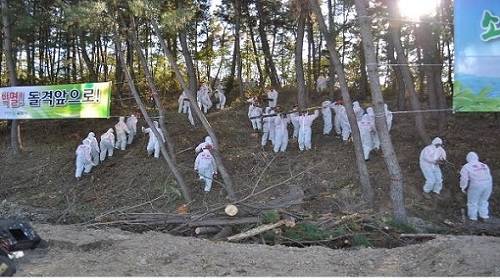 ▲ 4000억원이 넘는 예산이 투입됐지만 재선충을 잡지 못하고 있다ⓒ자료=산림청