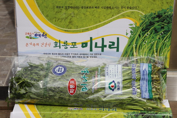 ▲ 예천군이 봄 향기 가득한 청정미나리를 올해 첫 출하했다.ⓒ예천군 제공