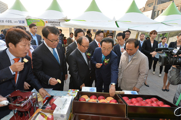 ▲ 영주시 농산물유통센터가 영주사과 유통의 중심지로 부상하고 있다. 사진은 영주에서 열린 사과 직판행사 모습.ⓒ영주시 제공