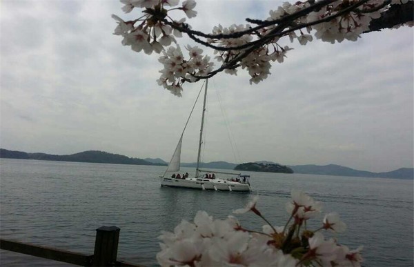 ▲ ⓒ뉴데일리 4월 3일부터 5일까지 진해구 해군사관학교 내 계류장에서 무료로 크루저요트 체험을 실시한다