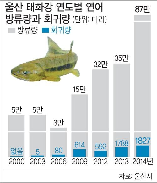 ▲ 연어야 살아서 태화강에 돌아와죠.. 어린연어 방류행사에 참여한 시민들의 기원=블로그 캡쳐