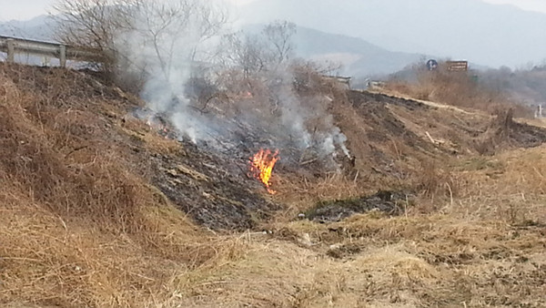 ▲ 영주시는 논 밭두렁 소각으로 인한 산불 예방에 총력을 기울이고 있다. ⓒ영주시 제공