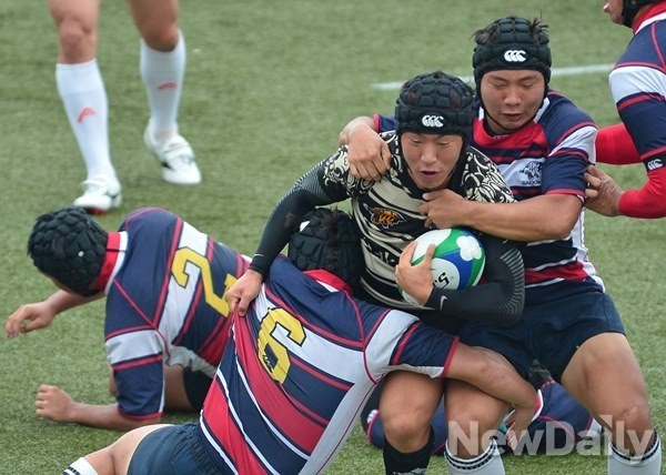 ▲ 럭비 자료사진.ⓒ뉴데일리 정상윤 사진기자