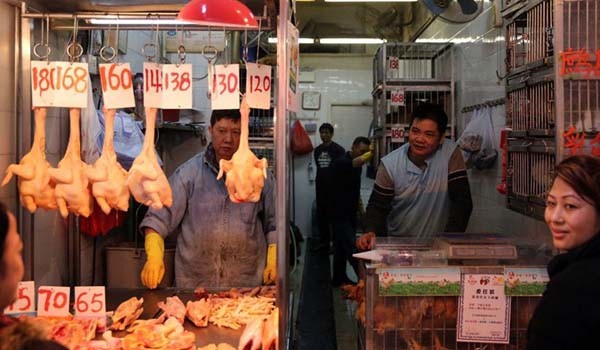 ▲ 홍콩 완차이 지역의 닭고기 시장. 올 들어 홍콩에서는 H7N9형 조류독감이 급격히 전염되고 있다. ⓒ차이나 org 홈페이지 캡쳐