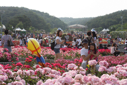 ▲ 울산대공원 장미축제=한국관광공사 제공ⓒ뉴데일리