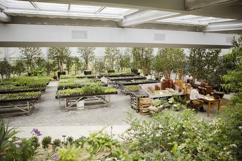 ▲ ⓒ마몽드 원료식물원