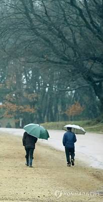 ▲ 봄비.ⓒ연합뉴스