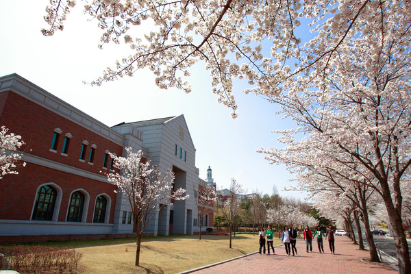 ▲ 계명대 행소박물관 벚꽃길ⓒ계명대 제공