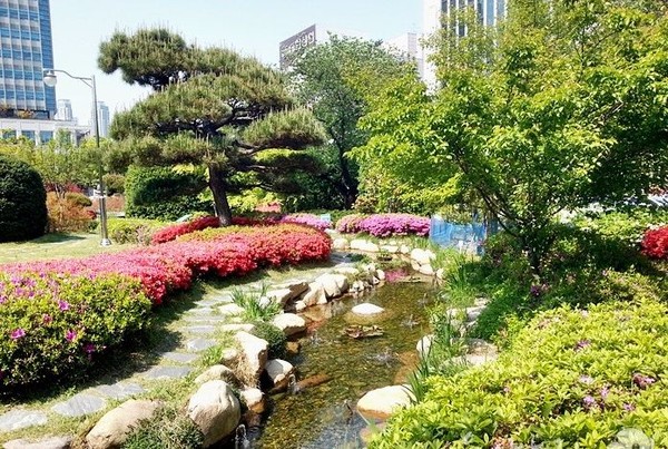▲ 봄꽃이 가득한  울산시청 초록원(햇빛광장 정원)의 실개천 = ⓒ뉴데일리