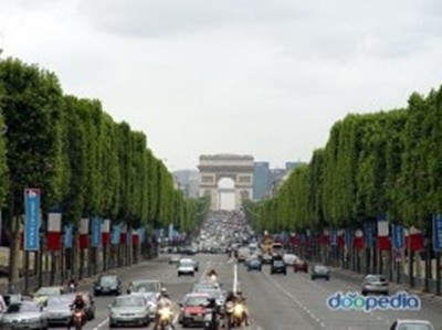 ▲ 이철영 이사