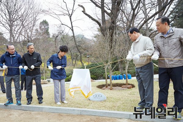 ▲ 박근혜 대통령이 5일 식목일을 맞아 비서진과 함께 청와대 경내에 무궁화를 심고 있다. ⓒ청와대 제공