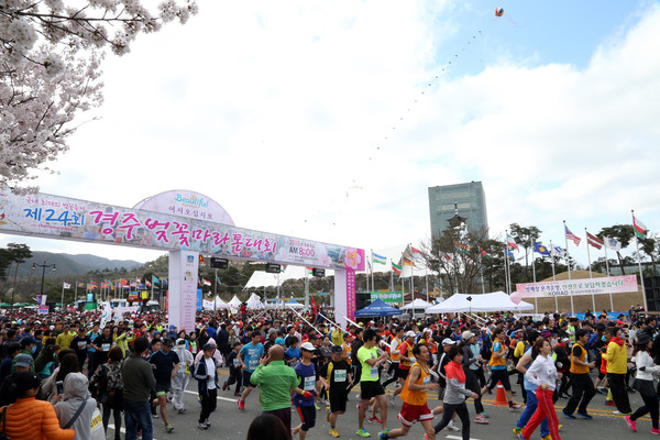 ▲ 벚꽃마라톤 대회에 출전한 선수들이 막 출발하고 있다. . ⓒ경주엑스포 제공
