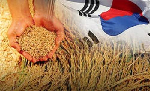 ▲ 정부가 모든 FTA 협상에서 쌀은 논의 테이블에 올리지 않겠다고 못박았다ⓒ뉴데일리 DB