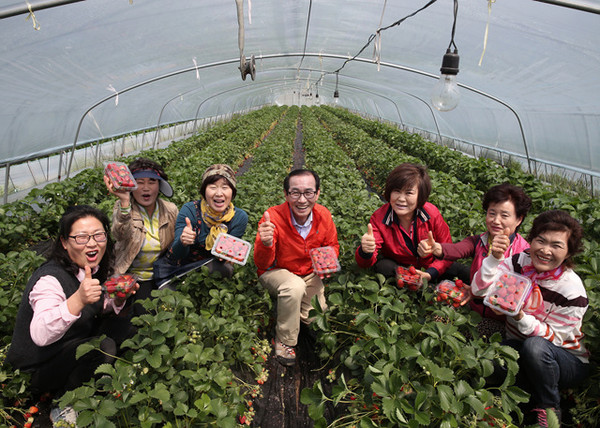 ▲ 딸기재배 농가 찾은 이승율 군수군수가 지역민과의 소통을 위한 현장 행정에 나섰다.ⓒ청도군 제공