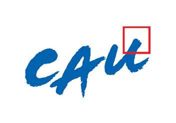 ▲ ⓒ중앙대 로고