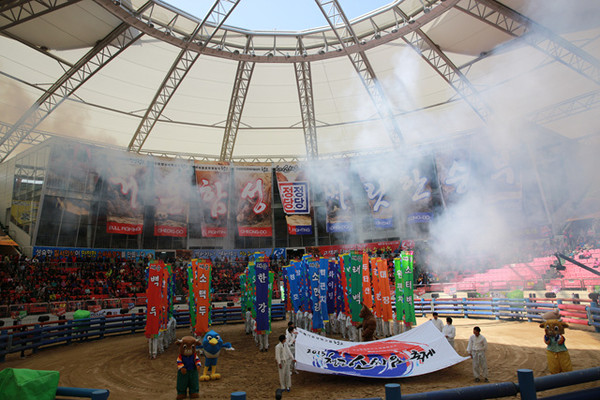 ▲ 소싸움경기장  ⓒ사진 김형만 기자 뉴데일리