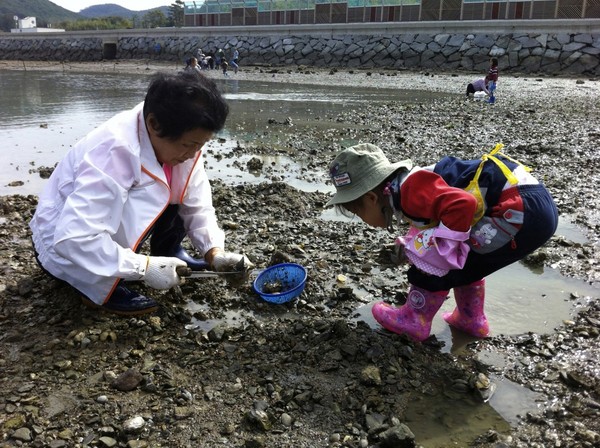 ▲ 할머니와 손녀가 다정하게 조개잡는 모습 ⓒ성주군 제공