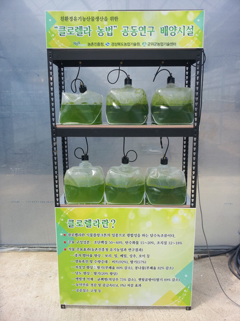 ▲ 군위군 농업기술센터에 설치된 클로렐라 배양시설.ⓒ군위군 제공