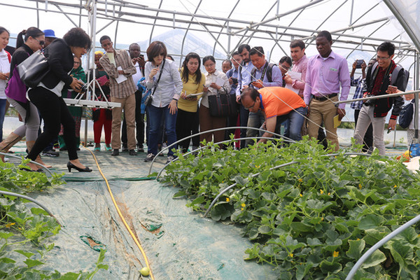 ▲ 참외시설하우스 견학 ⓒ성주군 제공