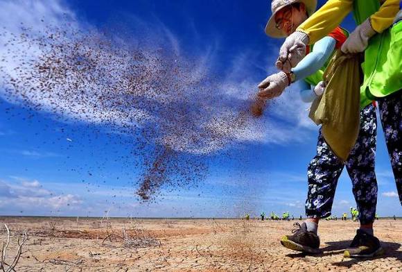 ▲ 지난해 개최된 '제1회 대한민국 기업사진 공모전'에서 대상에 선정된 김주영 한국일보 사진기자의 '사막에 새 생명을'. ⓒ대한상의