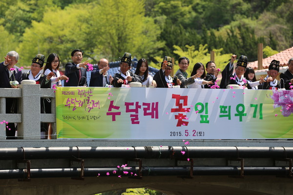 ▲ 한동수 군수와 축제 관계자들이 주왕의 넋을 기리기 위해 수달래 꽃잎을 뿌리고 있다.ⓒ김형만 기자