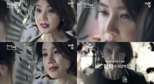 ▲ tvN 울지않는 새.