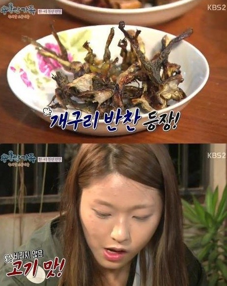 ▲ ⓒ용감한가족 방송 캡처