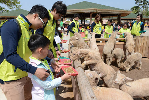 ▲ 가축교실을 진행중인 문화체험 봉사활동 참가자들.ⓒNH농협손보 제공