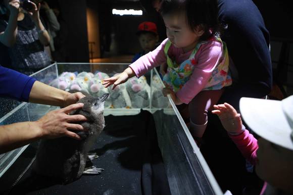 ▲ '아이 러브 펭귄' 행사ⓒ한화리조트