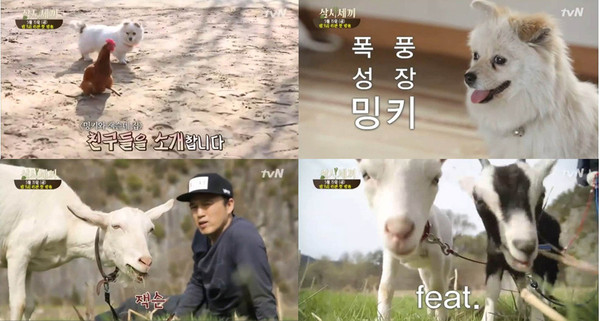 ▲ ⓒtvN 자료제공