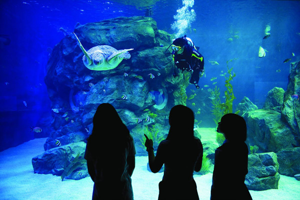 ▲ 울진군은 엑스포공원 내 아쿠아리움을 활용 자연생태 학습장으로 이용 될 수 있도록 지속적으로 컨텐츠를 개발해 나갈 것이다.ⓒ울진군 제공