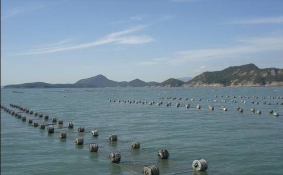 ▲ 고흥김 양식장.ⓒ해양수산부