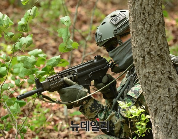 ▲ SART요원이 조종사 구출을 위한 수색을 하고 있다.ⓒ뉴데일리 정상윤 사진기자