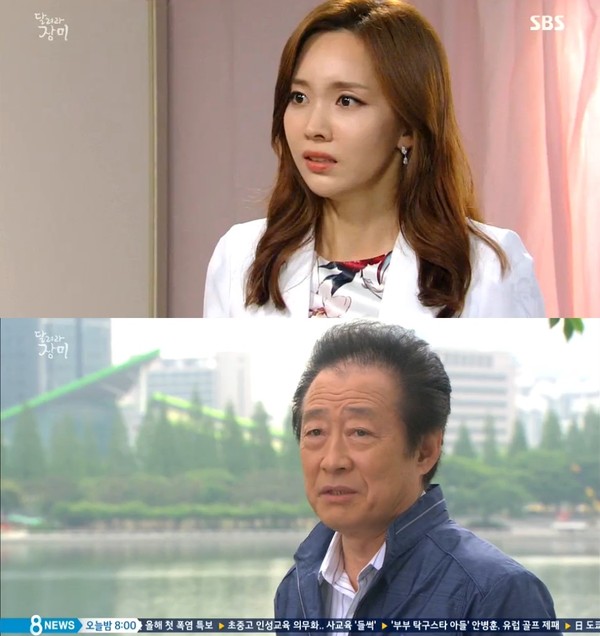 ▲ ⓒ SBS '달려라 장미' 방송 화면