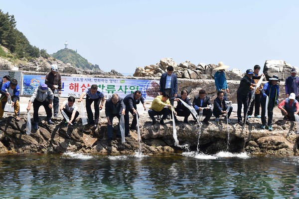 ▲ 해삼 방류ⓒ영덕군 제공