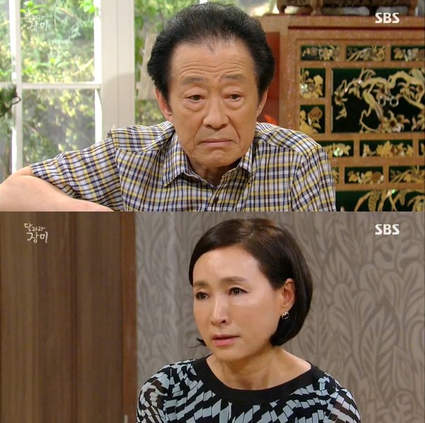 ▲ ⓒ SBS '달려라 장미' 방송 화면