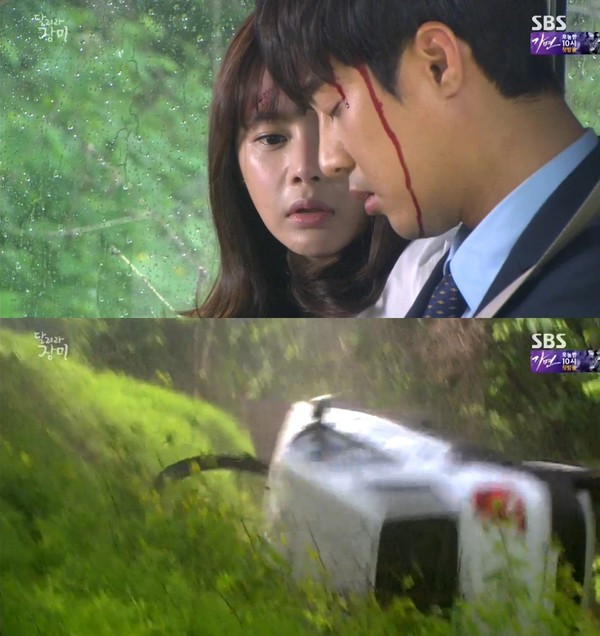 ▲ ⓒ SBS '달려라 장미' 방송 화면