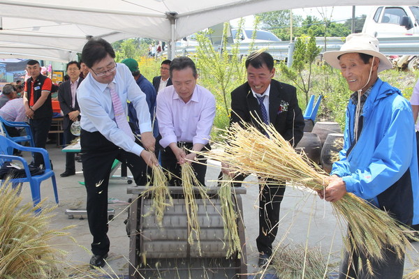 ▲ 전통방식으로 탈곡을 하고있다.ⓒ예천군 제공