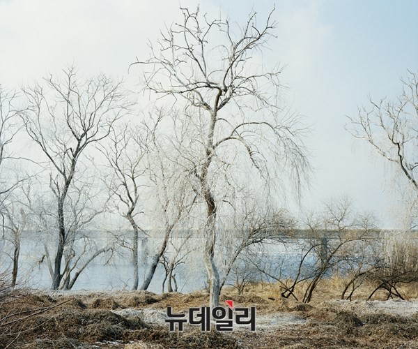 ▲ Untitled 012, pigment print, 50 x 60cm, 2015. ⓒ김승구