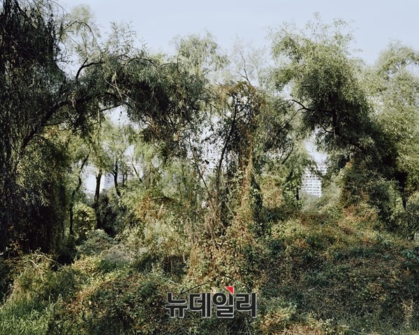 ▲ Untitled 002, pigment print, 160 x 200cm, 2011. ⓒ김승구