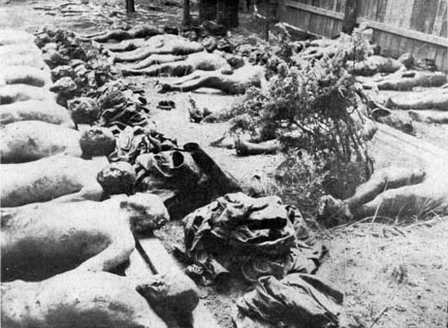 ▲ 스탈린의 피의 폭정에 집단 학살된 사람들.(자료사진)