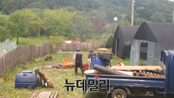 ▲ 새정치민주연합 의원들이 농촌체험을 진행한 배밭 인근 농가에서 불법 소각이 이뤄졌다. ⓒ뉴데일리 이길호 기자